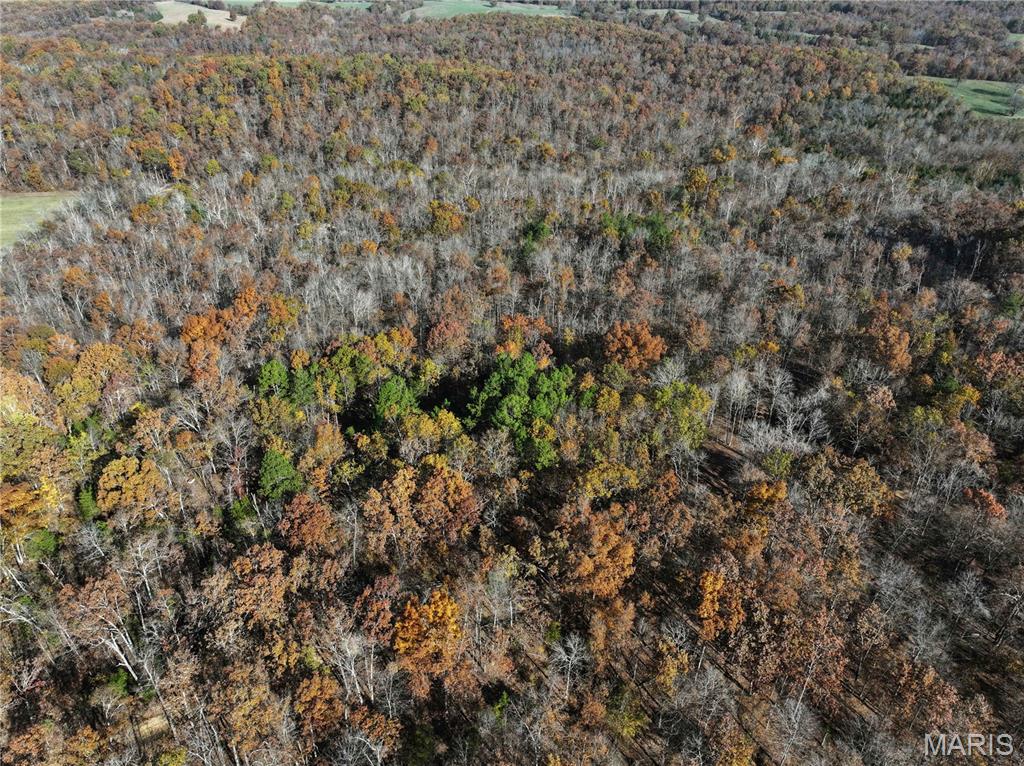 2 Bcr 930 Patton, MO 63662 - Photo 34 of 45