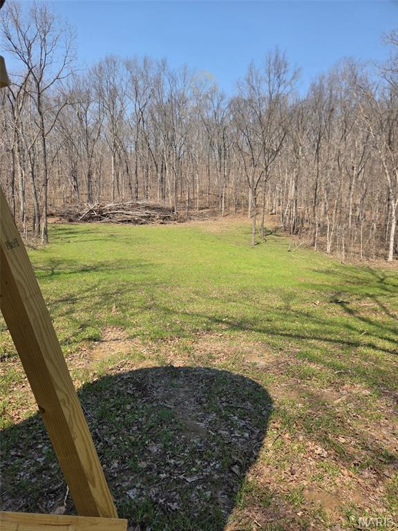 2 Bcr 930 Patton, MO 63662 - Photo 45 of 45