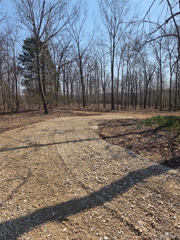2 Bcr 930 Patton, MO 63662 - Photo 5 of 45