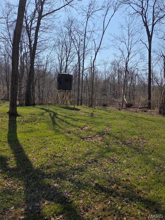 2 Bcr 930 Patton, MO 63662 - Photo 6 of 45