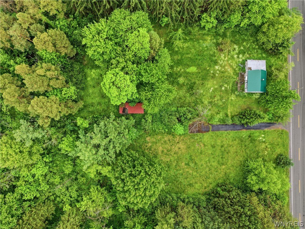 7499 Irish Road Colden, NY 14170 - Photo 10 of 10