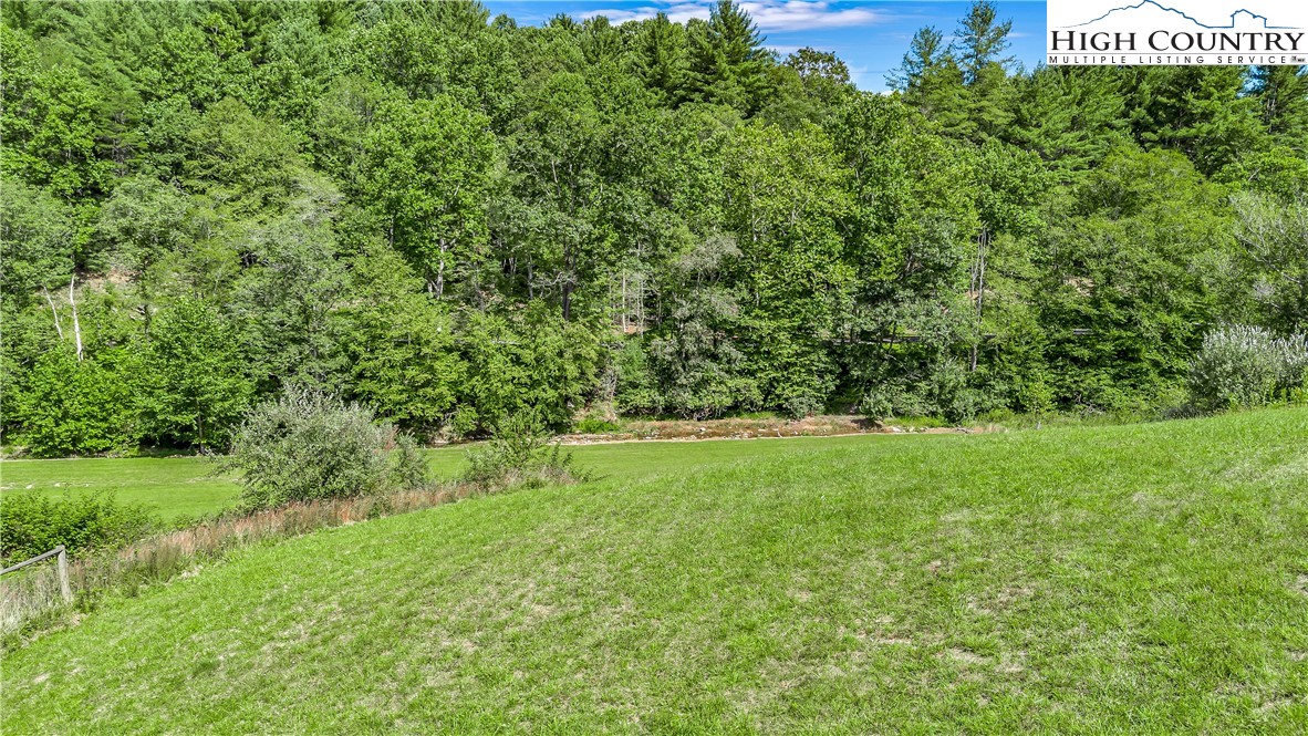 554 County Line Road Mouth Of Wilson, VA 24363 - Photo 32 of 48 Gallery Image 32