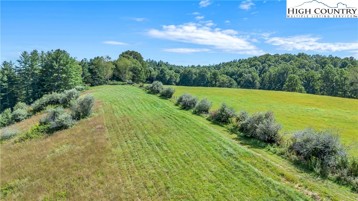 554 County Line Road Mouth Of Wilson, VA 24363 - Photo 38 of 48 Gallery Image 38