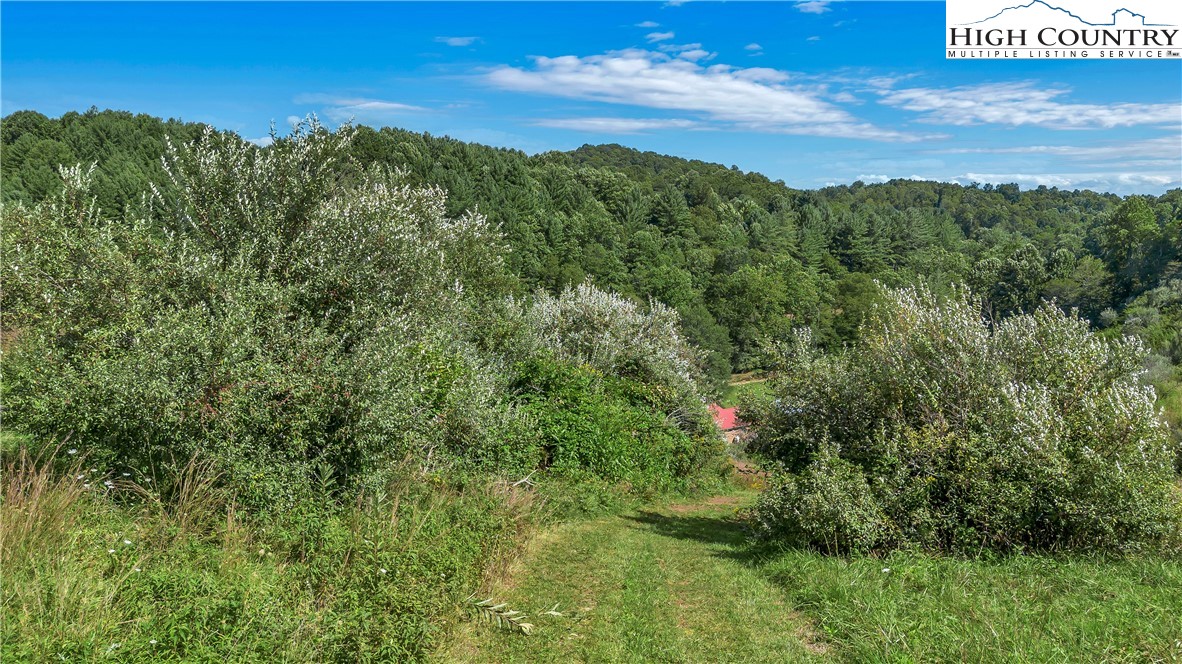 554 County Line Road Mouth Of Wilson, VA 24363 - Photo 44 of 48 Gallery Image 44