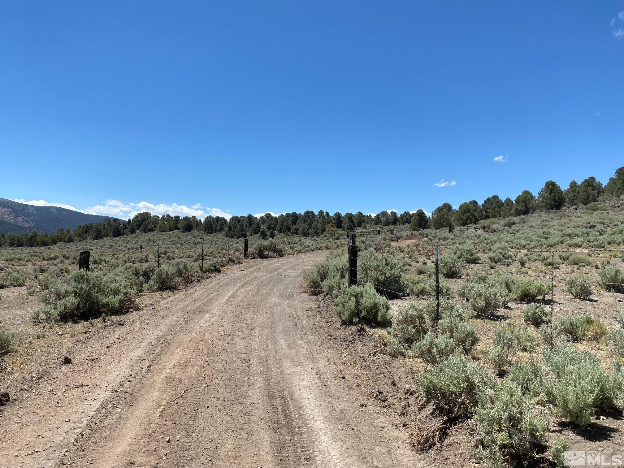 Tbd Eldorado Canyon Road Carson City, NV 89701 - Photo 4 of 20 Photo 4