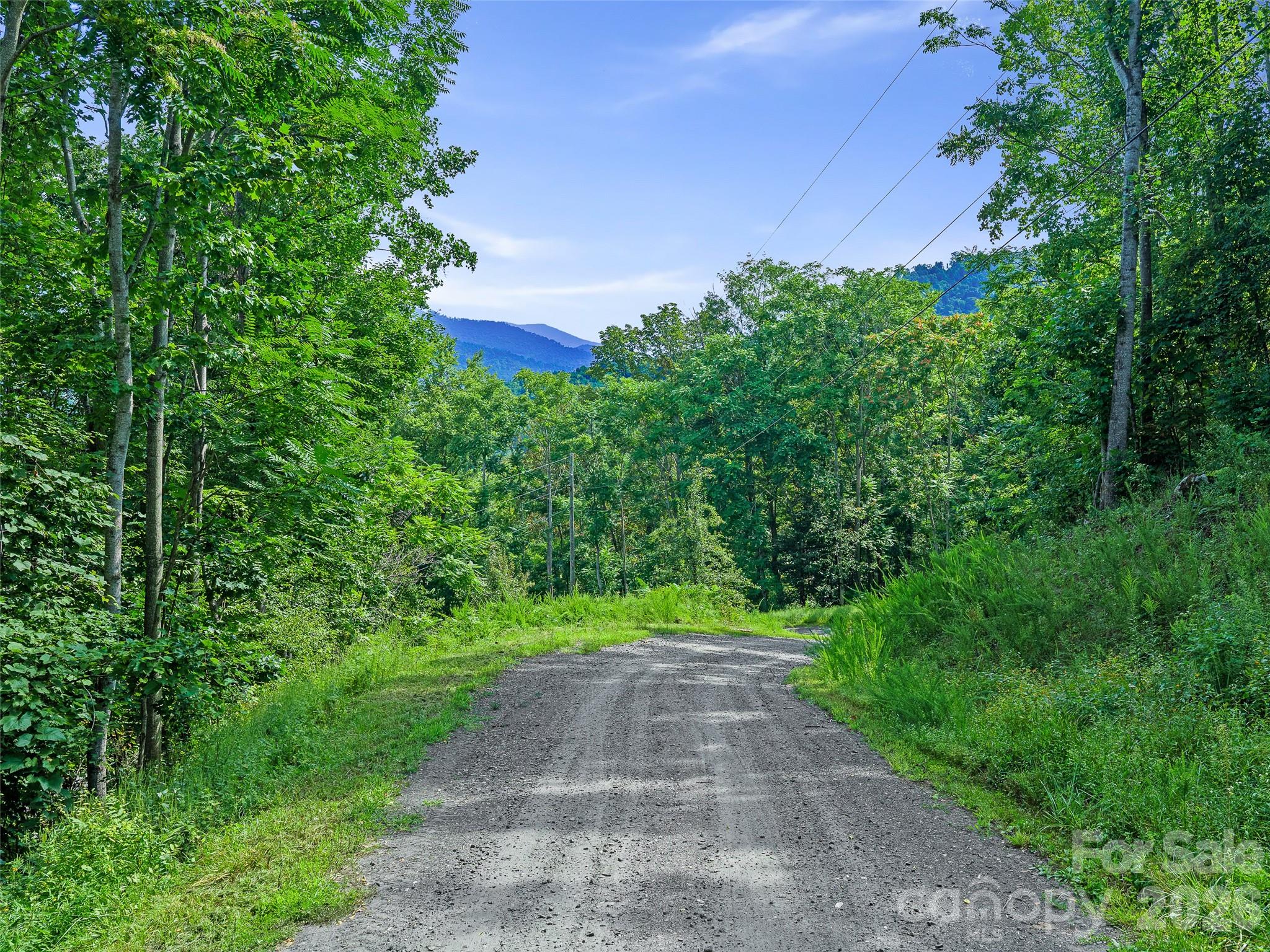 Lot #63-65 Lot#63-65 Bear Ridge Road Bakersville, NC 28705 - Photo 4 of 38 Gallery Image 4