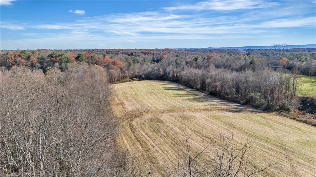 Tbd Greenhorn Road Roaring River, NC 28669 - Photo 16 of 34