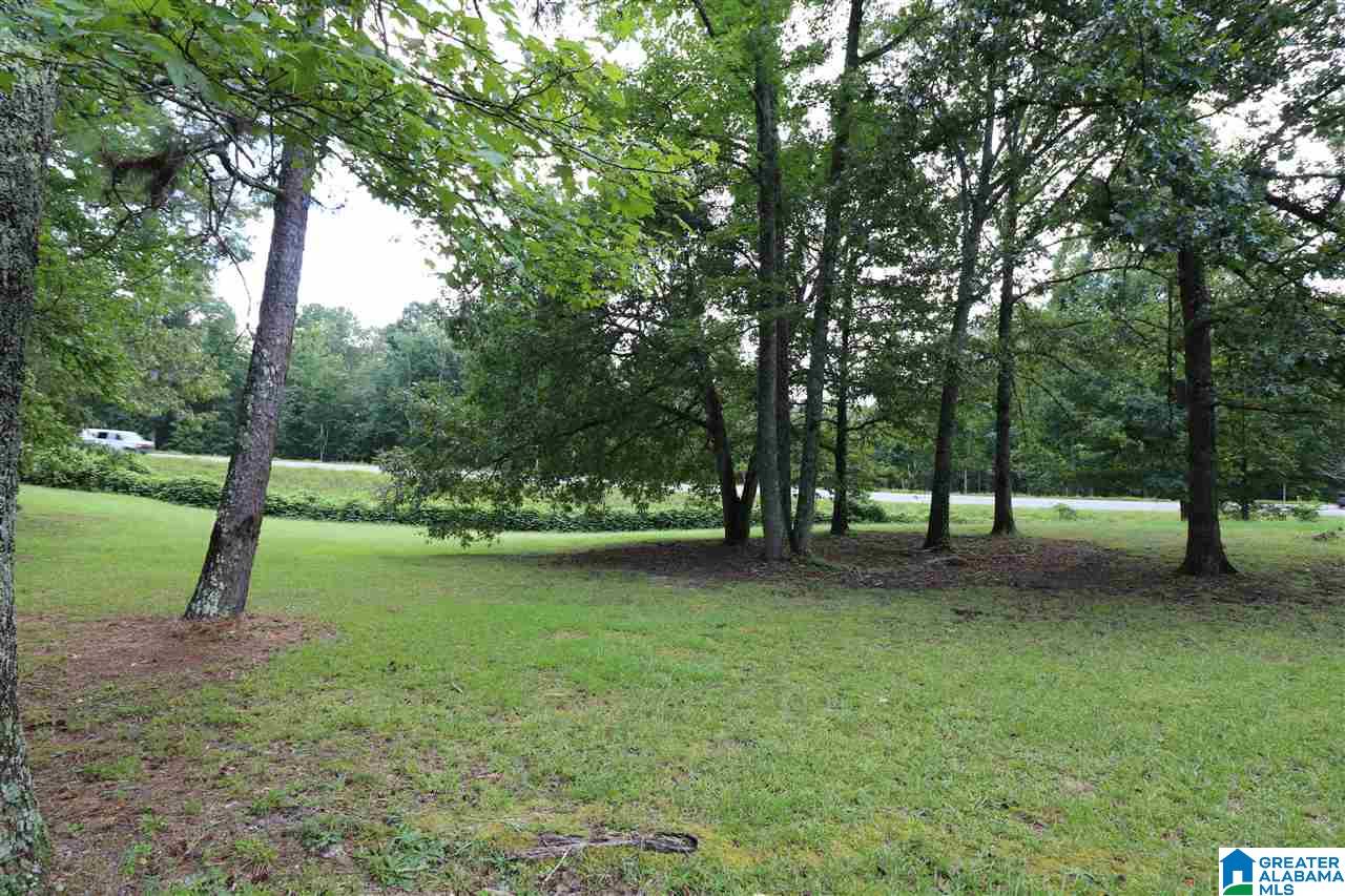 24690 Highway 231 Ragland, AL 35131 - Photo 27 of 27 Gallery Image 27