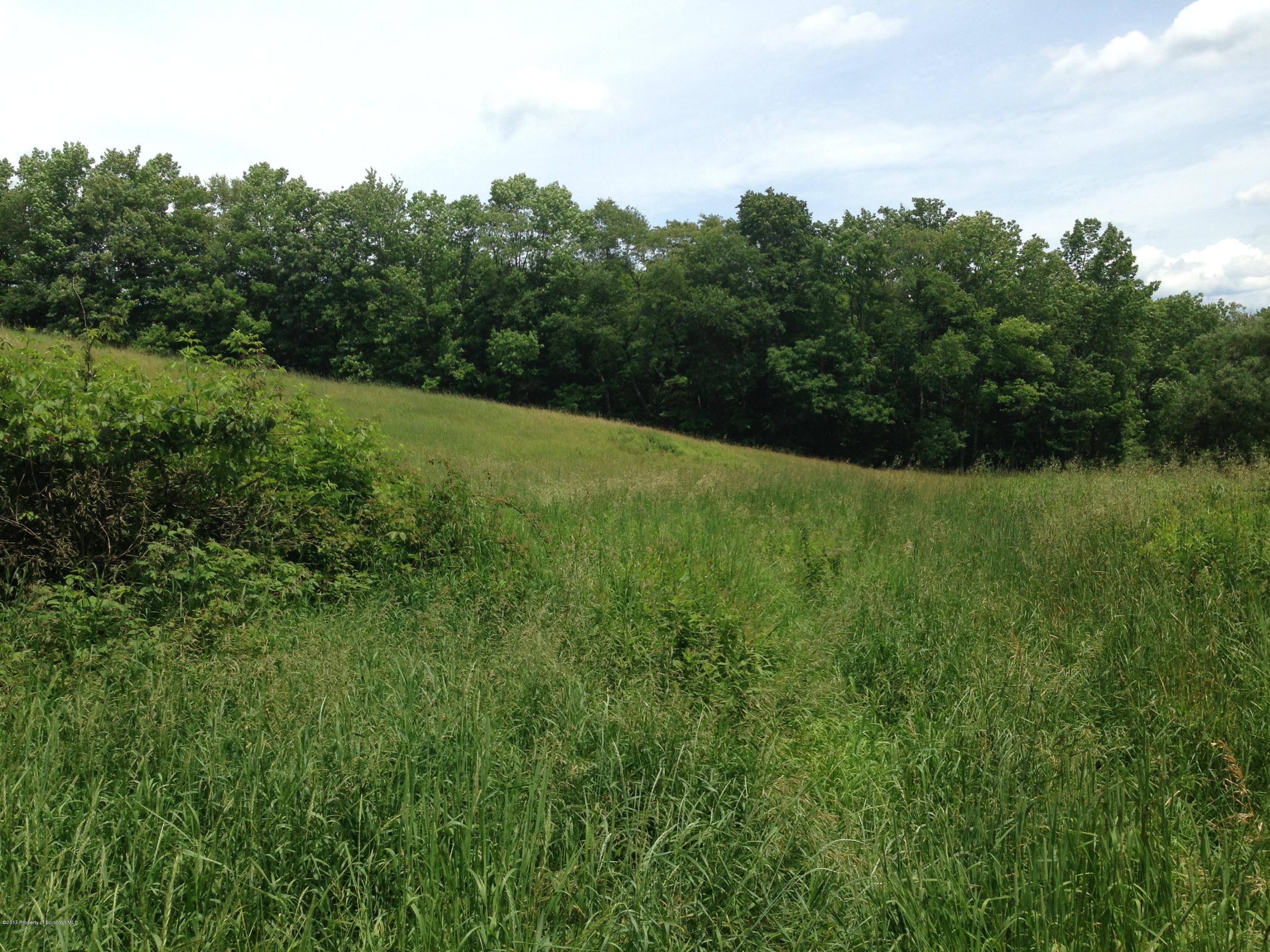 3391 Major Road Moscow, PA 18444 - Photo 8 of 58 a view of a big yard with plants and large trees