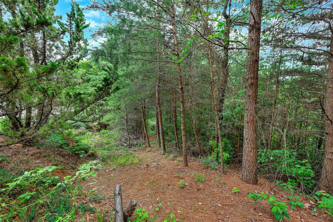 Lot N-25 Jocassee Ridge Way Salem, SC 29676 - Photo 4 of 17