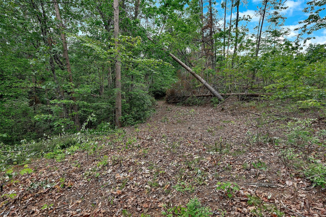 Lot N-25 Jocassee Ridge Way Salem, SC 29676 - Photo 8 of 17