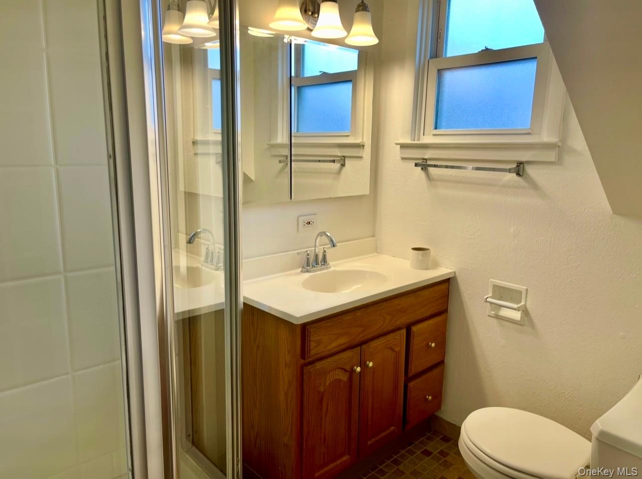 372 East 235th Street Bronx, NY 10470 - Photo 28 of 36 a bathroom with a sink a toilet a mirror and shower