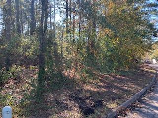 Lot 14 Newcombe Dothan, AL 36305 - Photo 1 of 1 Main View