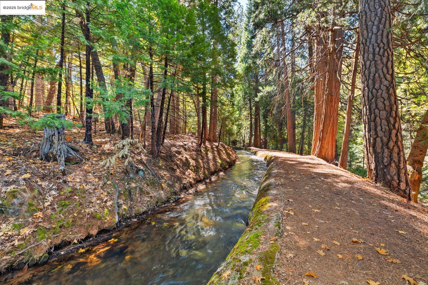 24181 Awahanee Road Sonora, CA 95370 - Photo 47 of 48 a view of outdoor space with trees