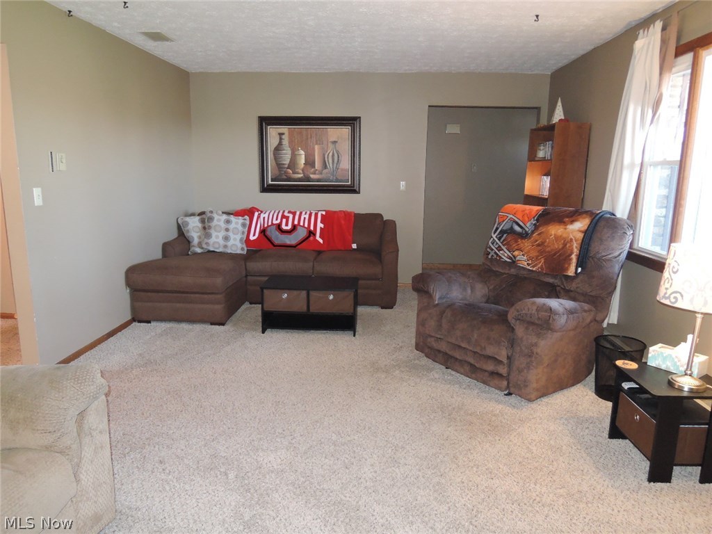 2879 Canfield Road Youngstown, OH 44511 - Photo 4 of 35 Gallery Image 4