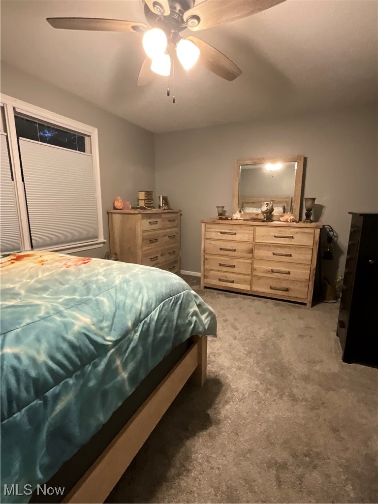 557 Wilcox Road, Unit A Austintown, OH 44515 - Photo 29 of 39