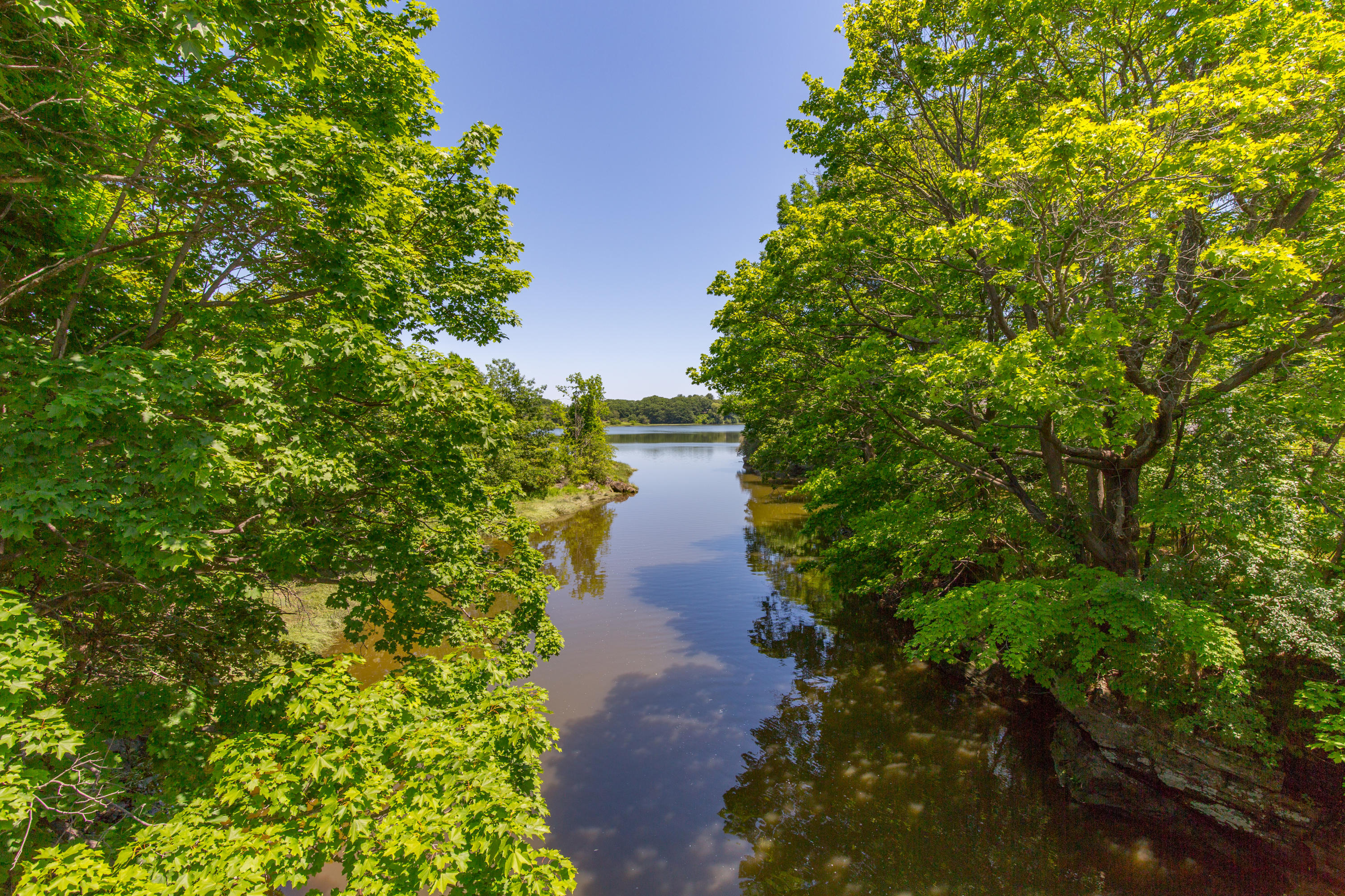 44 Trailhead Way Portland, ME 04102 - Photo 22 of 24 Stroudwater Preserve 7.2.19-63