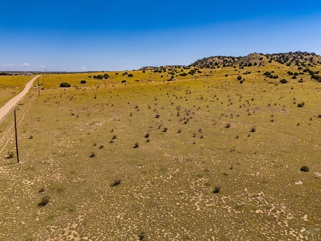 60 Railroad Spring Drive Ramah, CO 80832 - Photo 11 of 17 a view of a dry yard