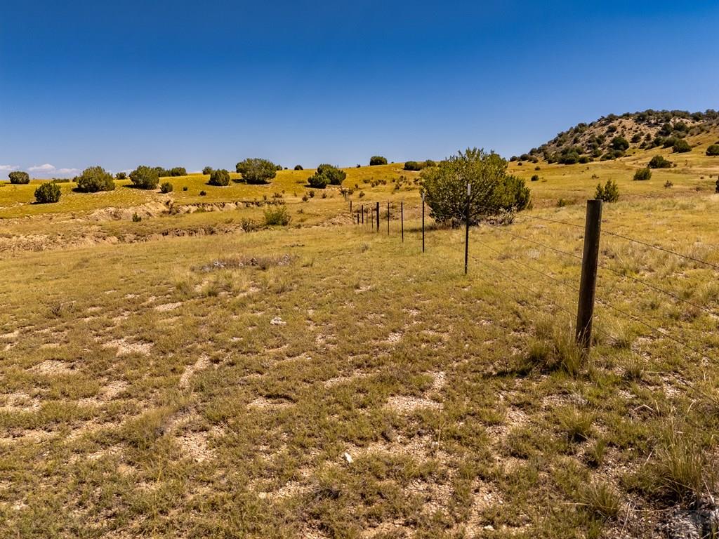 60 Railroad Spring Drive Ramah, CO 80832 - Photo 13 of 17
