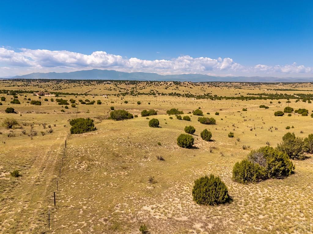 60 Railroad Spring Drive Ramah, CO 80832 - Photo 6 of 17 a view of ocean view