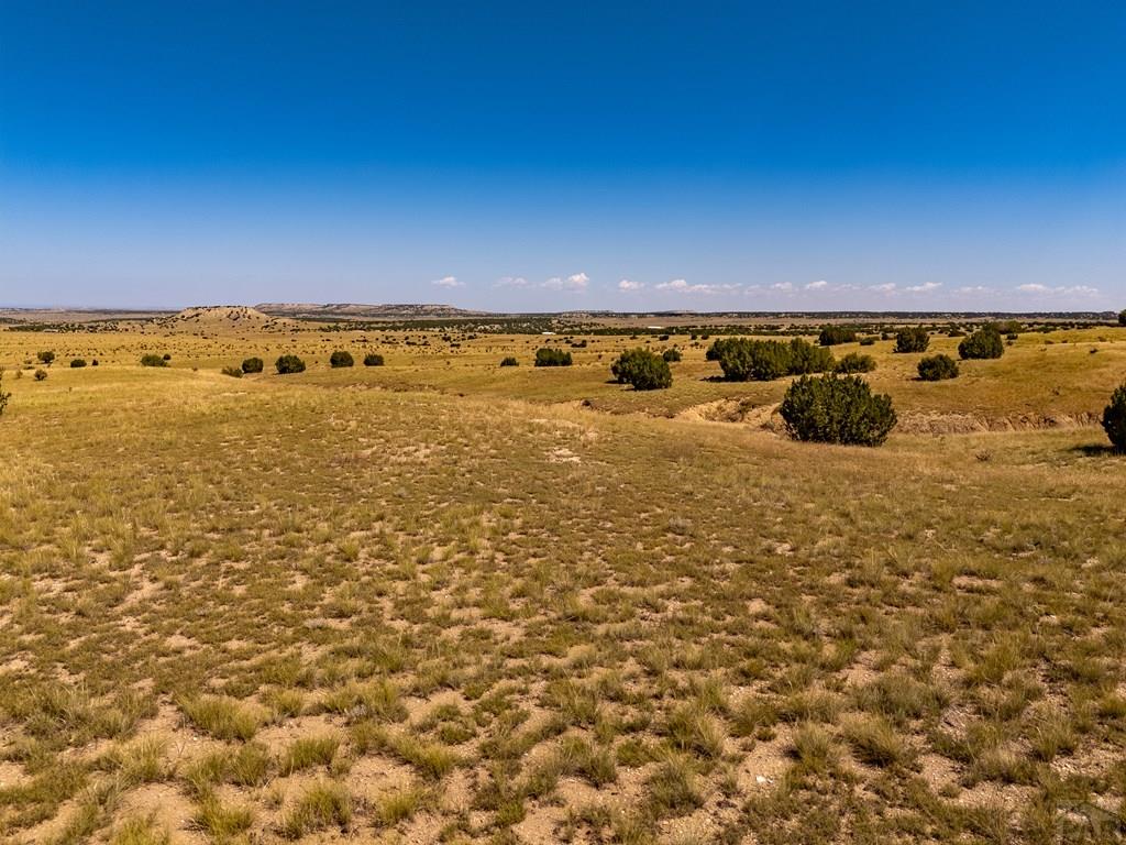 60 Railroad Spring Drive Ramah, CO 80832 - Photo 7 of 17 a view of an ocean