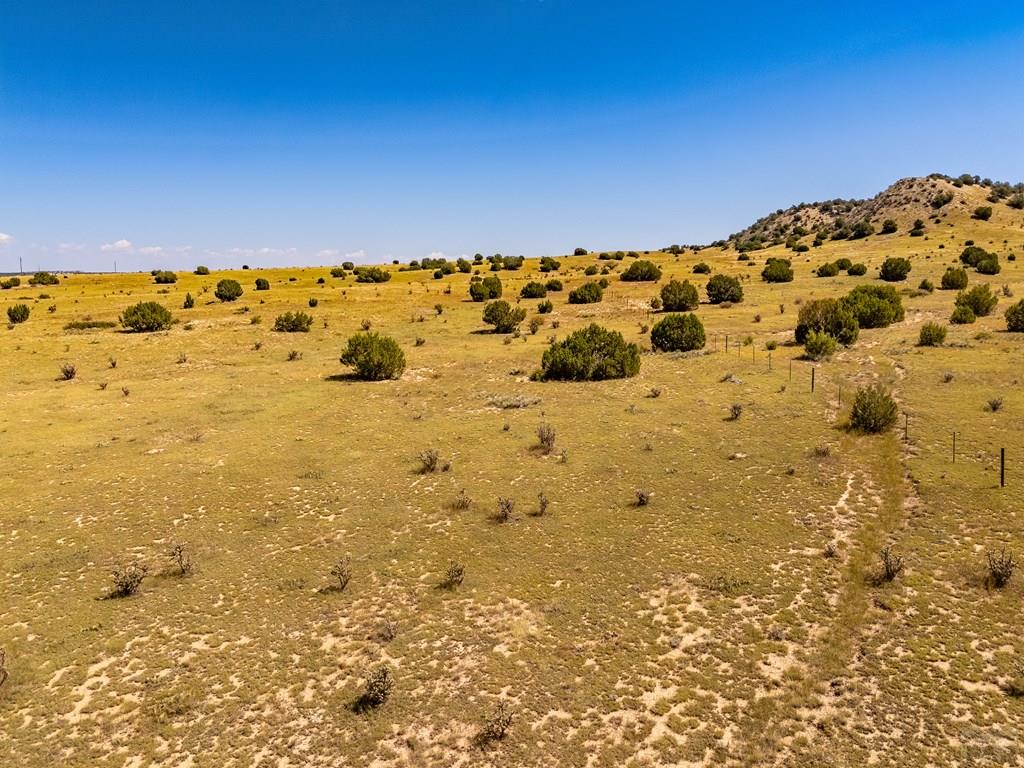 60 Railroad Spring Drive Ramah, CO 80832 - Photo 9 of 17 a view of sky view