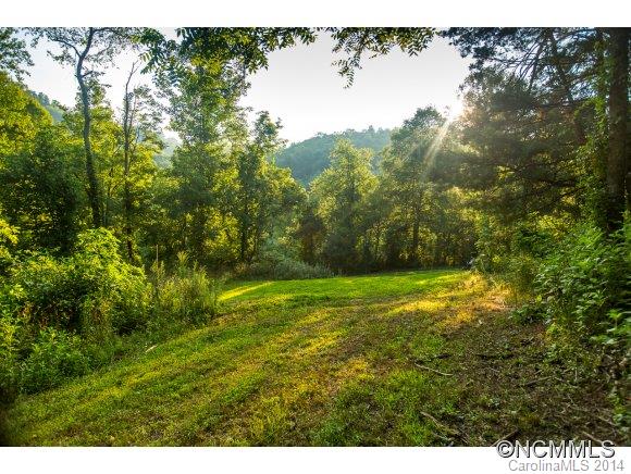 0 Davis Cove Road Leicester, NC 28748 - Photo 1 of 24 Gallery Image 1