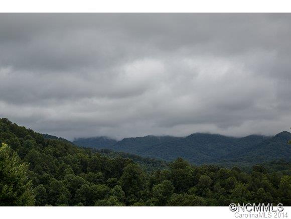 0 Davis Cove Road Leicester, NC 28748 - Photo 2 of 24 Gallery Image 2