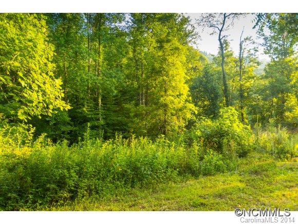 0 Davis Cove Road Leicester, NC 28748 - Photo 11 of 24 Gallery Image 11