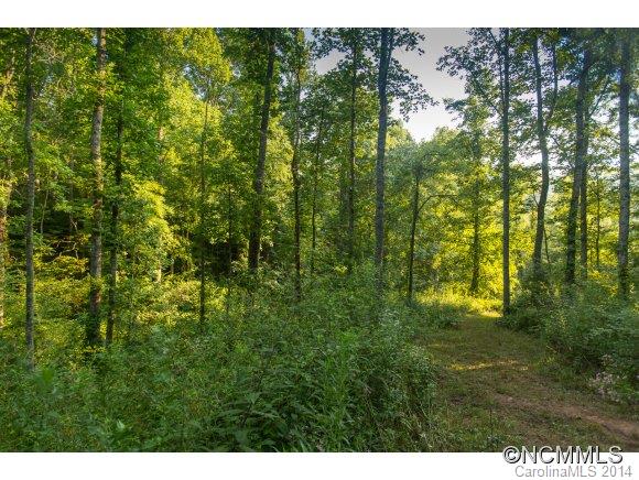 0 Davis Cove Road Leicester, NC 28748 - Photo 13 of 24 Gallery Image 13