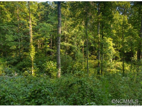 0 Davis Cove Road Leicester, NC 28748 - Photo 14 of 24 Gallery Image 14