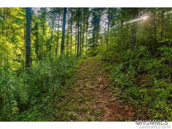 0 Davis Cove Road Leicester, NC 28748 - Photo 16 of 24 Gallery Image 16