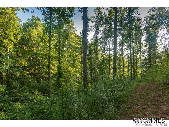 0 Davis Cove Road Leicester, NC 28748 - Photo 17 of 24 Gallery Image 17