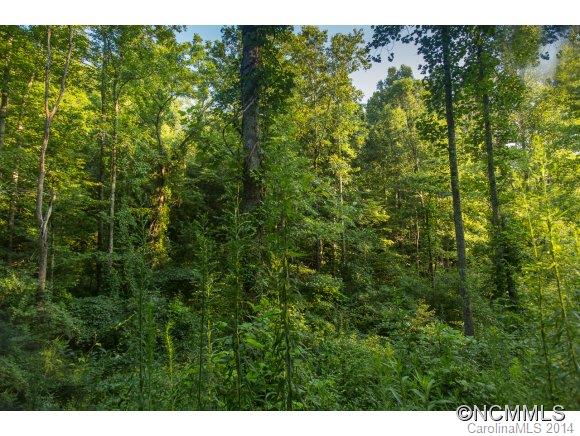 0 Davis Cove Road Leicester, NC 28748 - Photo 18 of 24 Gallery Image 18