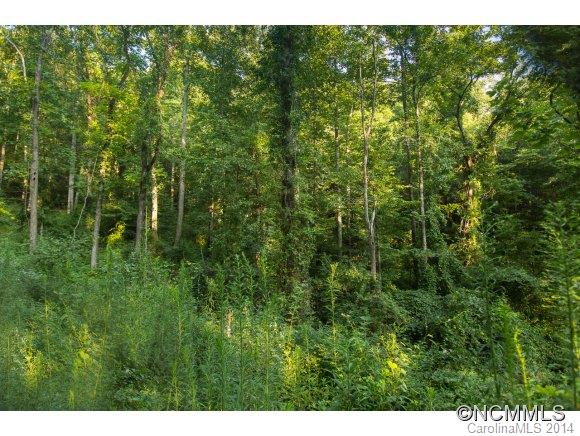 0 Davis Cove Road Leicester, NC 28748 - Photo 19 of 24 Gallery Image 19