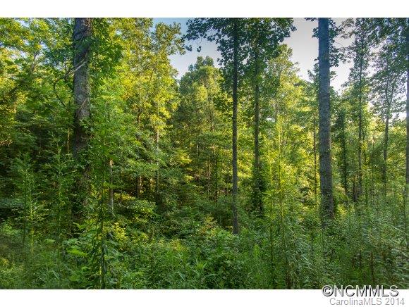 0 Davis Cove Road Leicester, NC 28748 - Photo 20 of 24 Gallery Image 20