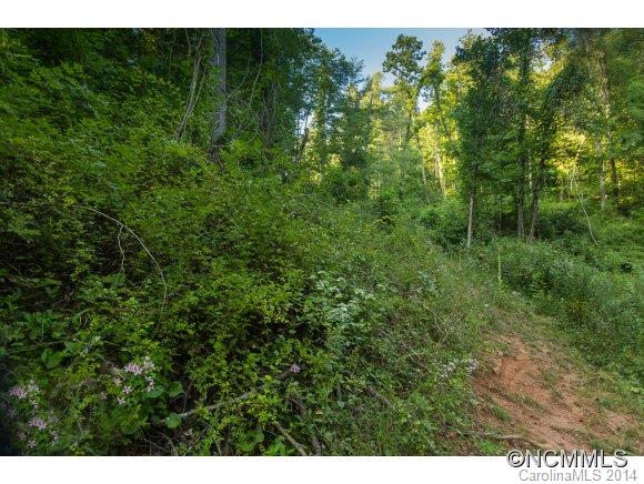 0 Davis Cove Road Leicester, NC 28748 - Photo 21 of 24 Gallery Image 21