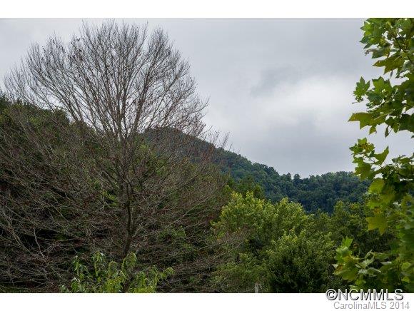 0 Davis Cove Road Leicester, NC 28748 - Photo 22 of 24 Gallery Image 22