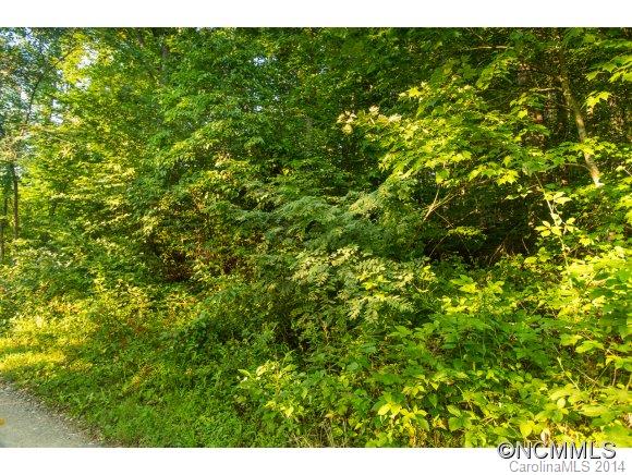 0 Davis Cove Road Leicester, NC 28748 - Photo 23 of 24 Gallery Image 23