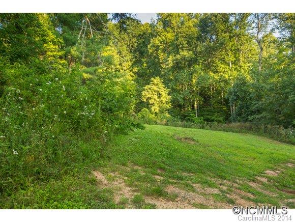 0 Davis Cove Road Leicester, NC 28748 - Photo 4 of 24 Gallery Image 4