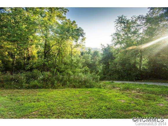 0 Davis Cove Road Leicester, NC 28748 - Photo 5 of 24 Gallery Image 5