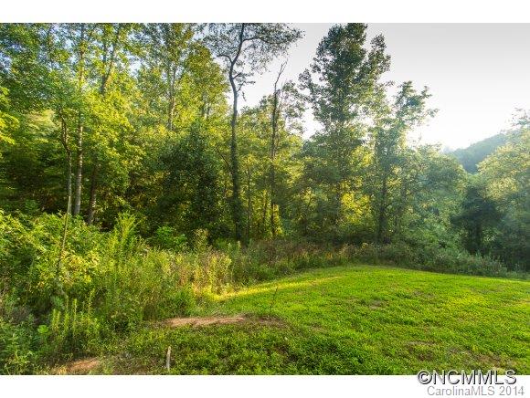 0 Davis Cove Road Leicester, NC 28748 - Photo 6 of 24 Gallery Image 6