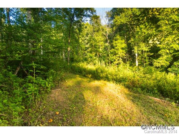 0 Davis Cove Road Leicester, NC 28748 - Photo 7 of 24 Gallery Image 7