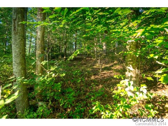 0 Davis Cove Road Leicester, NC 28748 - Photo 8 of 24 Gallery Image 8
