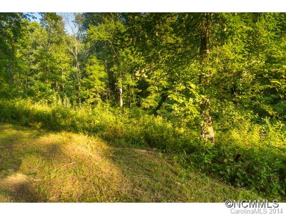 0 Davis Cove Road Leicester, NC 28748 - Photo 10 of 24 Gallery Image 10