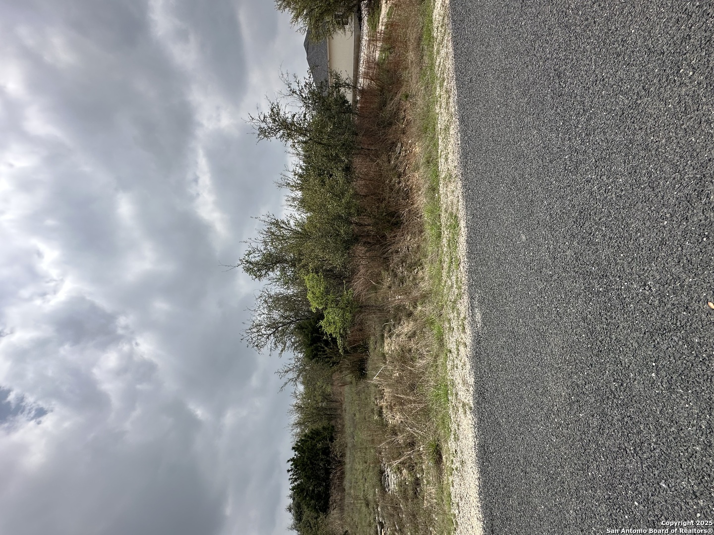 226 Roy Nichols Blanco, TX 78606 - Photo 3 of 5