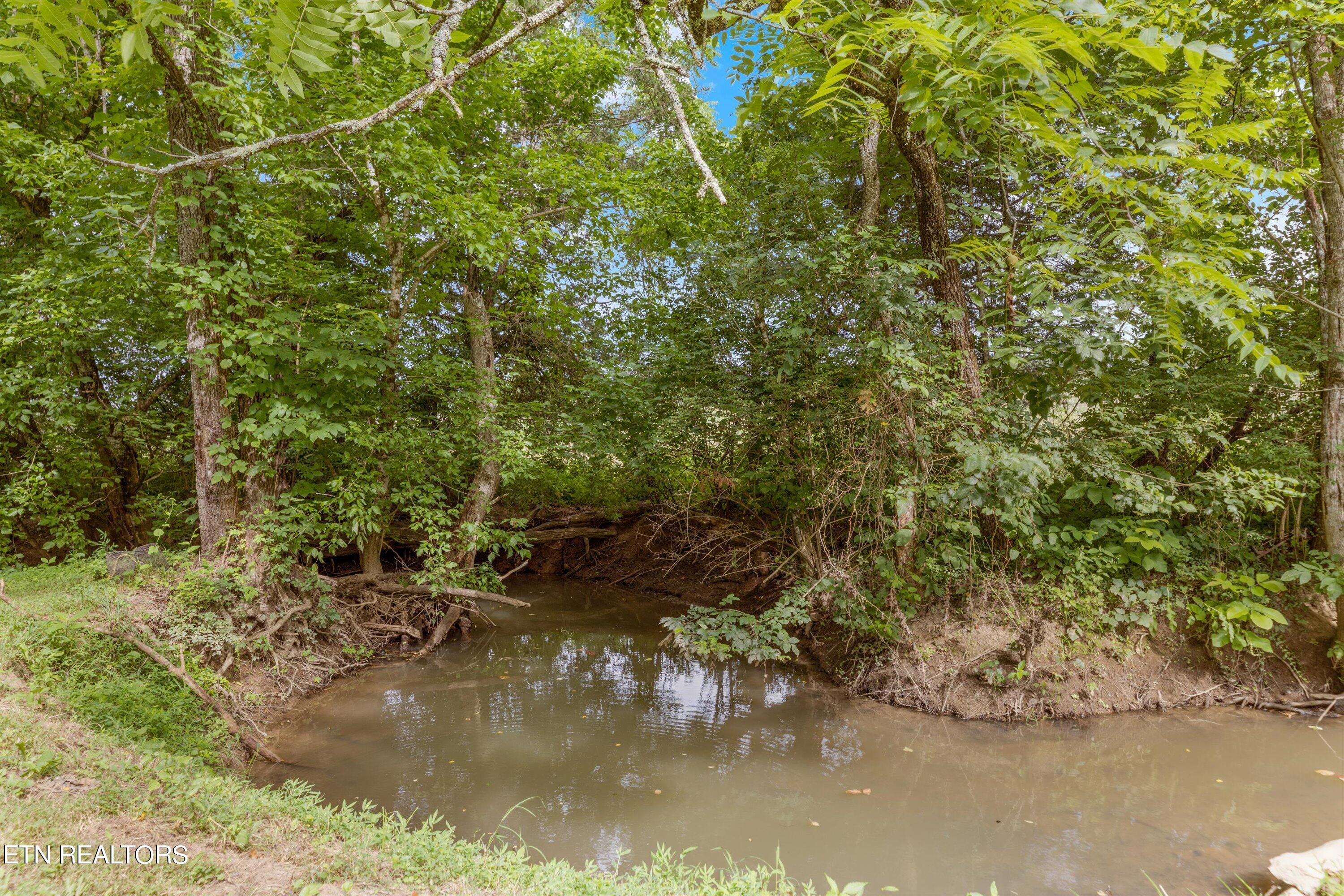 9113 Wyrick Road Corryton, TN 37721 - Photo 16 of 47 05-9113 Wyrick Rd V2-04