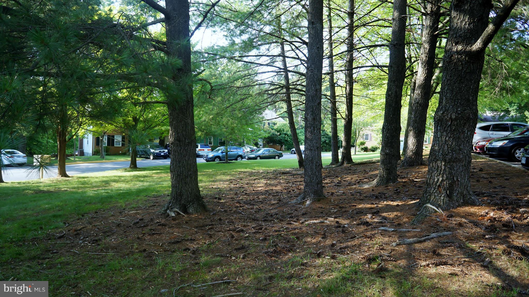 8373 Luce Court Springfield, VA 22153 - Photo 26 of 27 Community