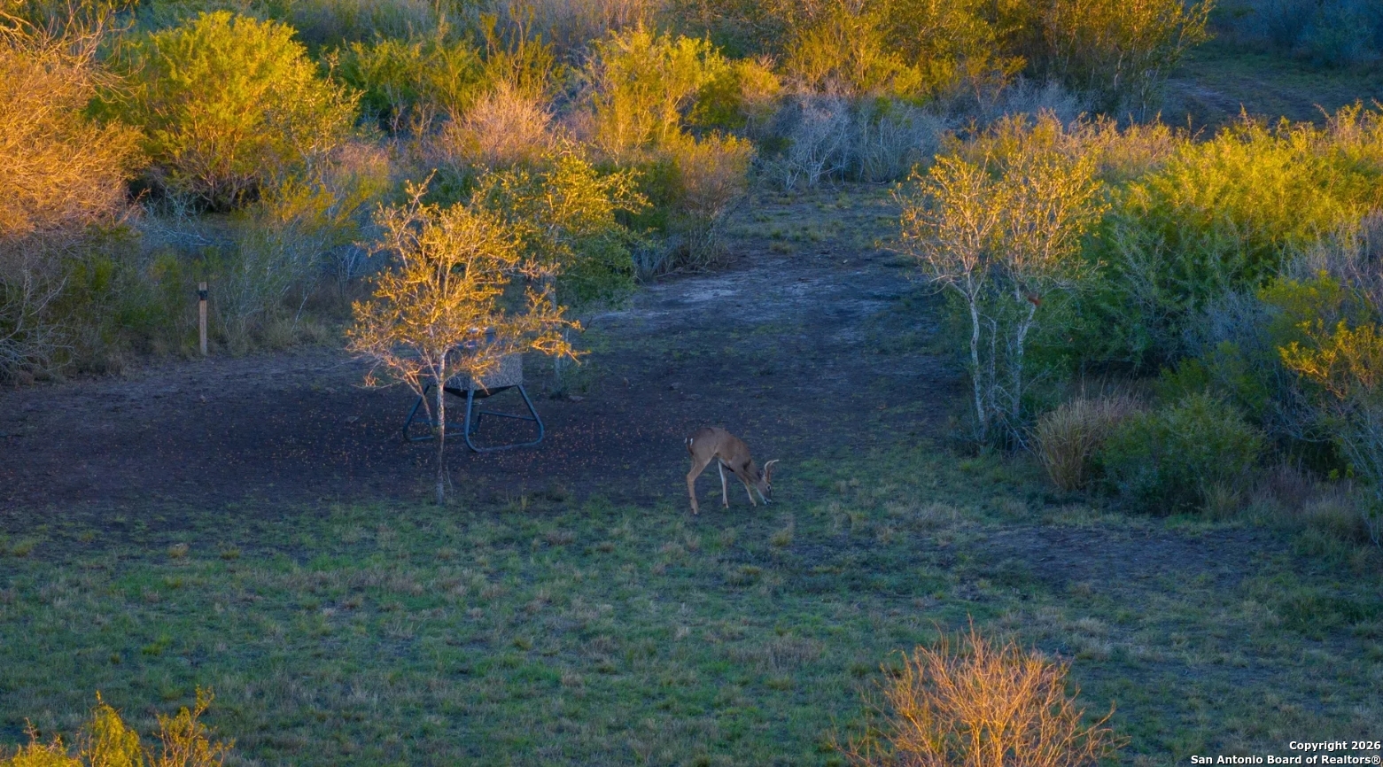 0 West Air Base Road Kenedy, TX 77963 - Photo 3 of 8
