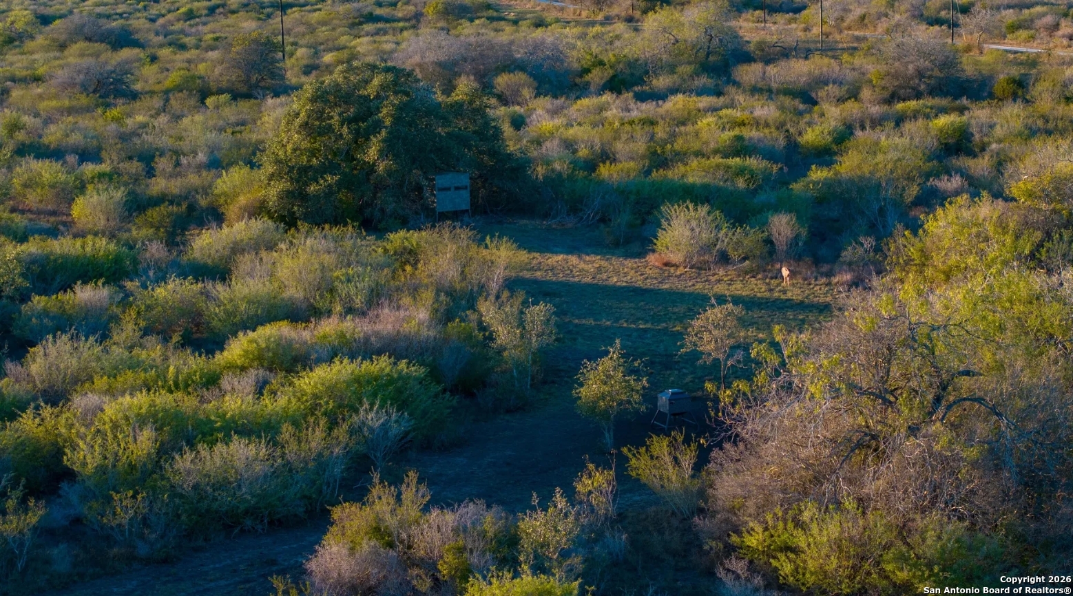0 West Air Base Road Kenedy, TX 77963 - Photo 7 of 8